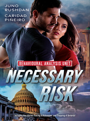 cover image of Necessary Risk